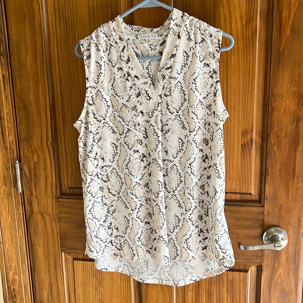 Sleeveless silky top